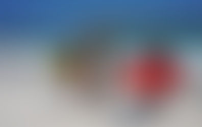 Surf and made an attempt to dive