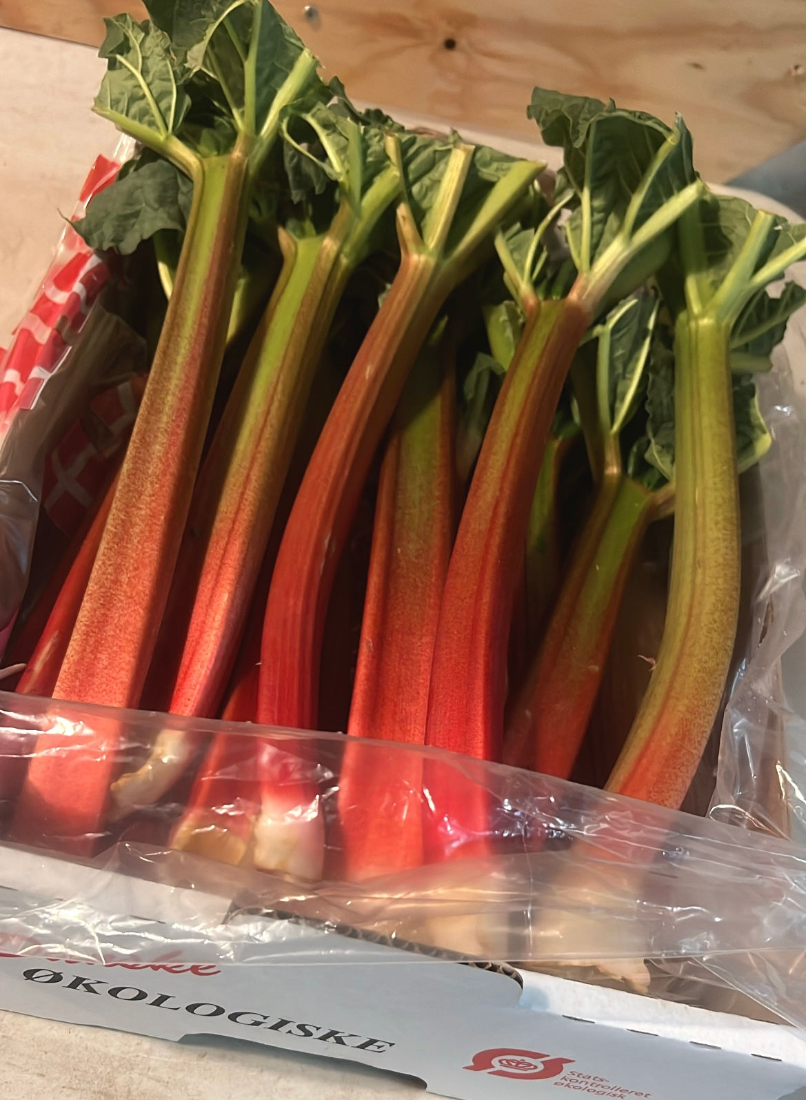 Rabarber Rød/grønlig stor - Øko & friland - 5 kg