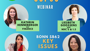 Gender and Climate at COP30