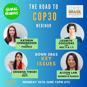 Gender and Climate at COP30