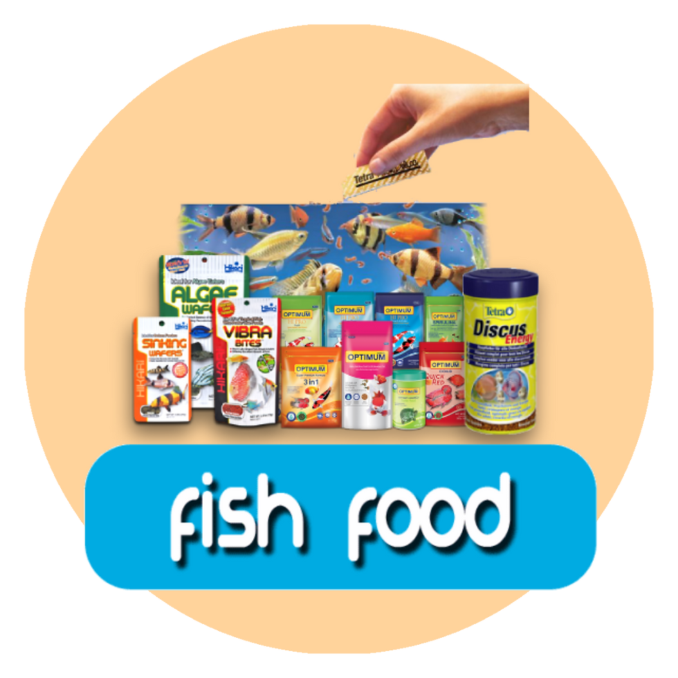 FISH FOOD