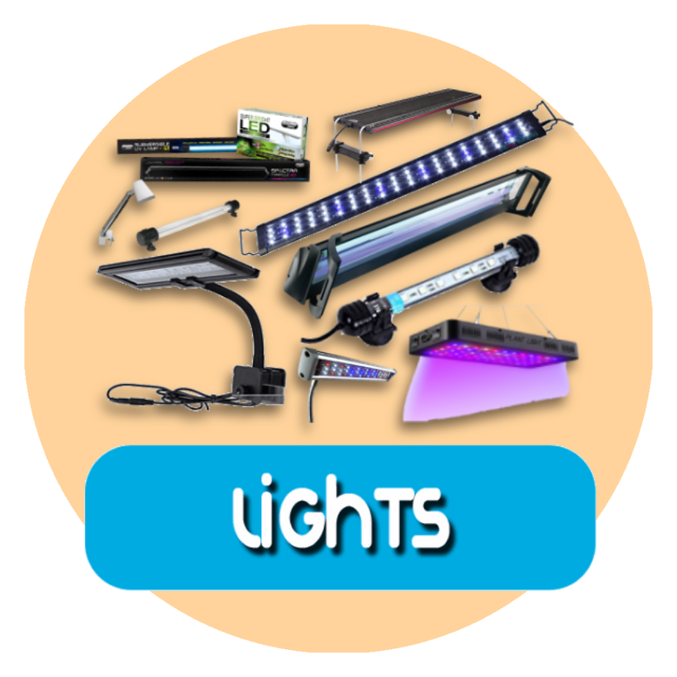 LIGHTS