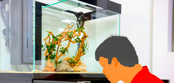 Aquarium Relocation Services.jpg