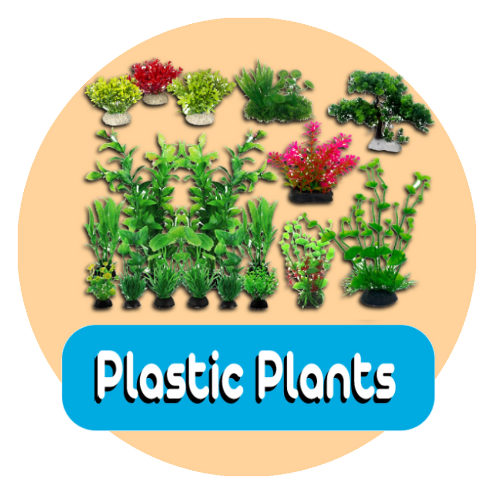 PLASTIC PLANTS