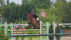 Woman jumps a bay horse over a green jump