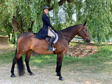 Woman on bay gelding smiling at the camera. 