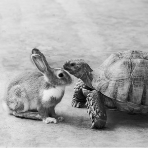 "Time In" The Markets, Not "Timing"