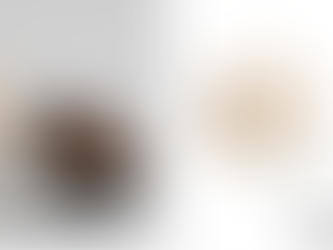 Why High-Quality Photo Editing Is a Must for E-Commerce Success in 2025