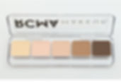 Highlight and Contour Palette Light