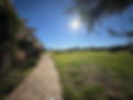 image00001.jpeg