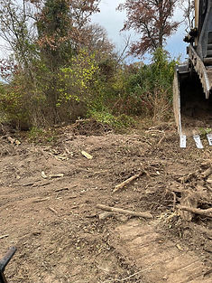 Bard Excavating Brush Clearing