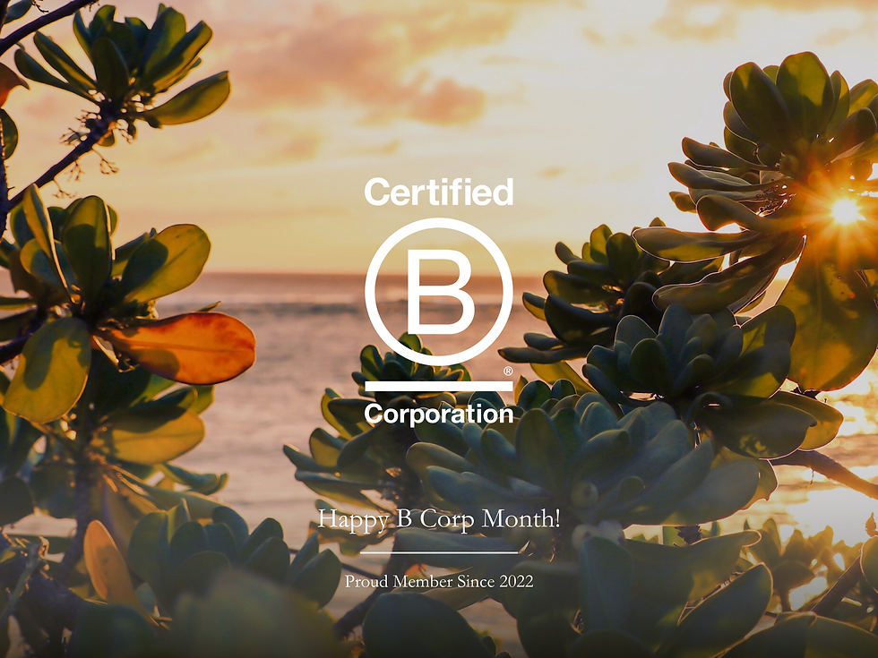 March is B Corp Month