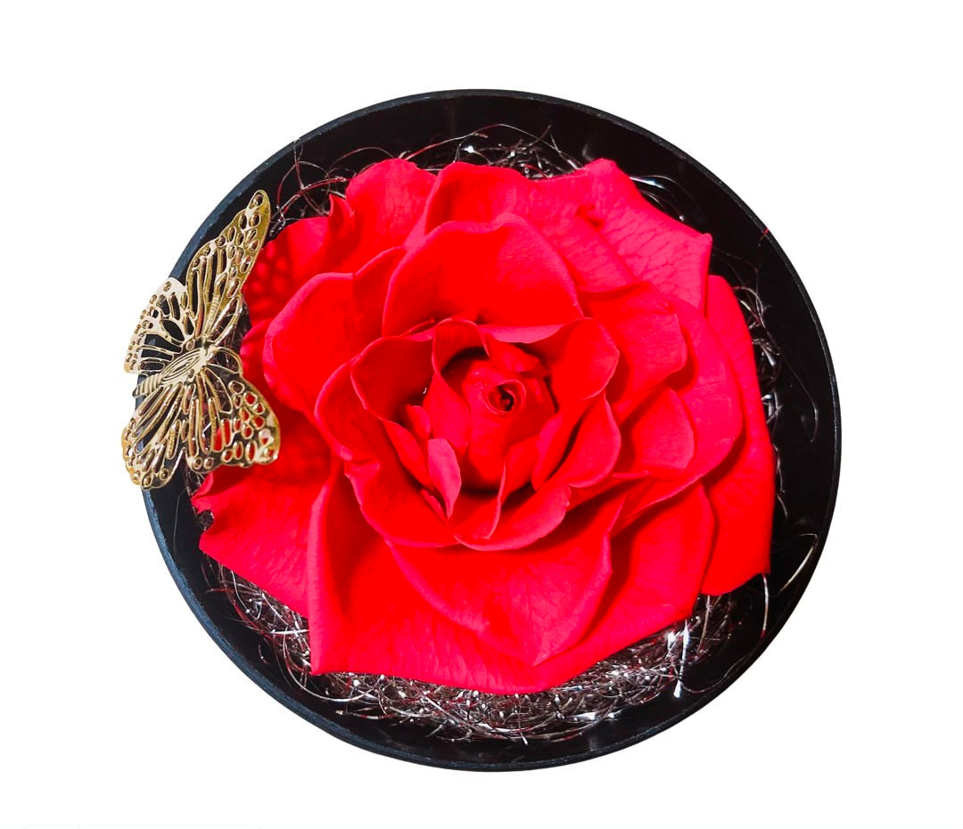 薔薇と蝶々