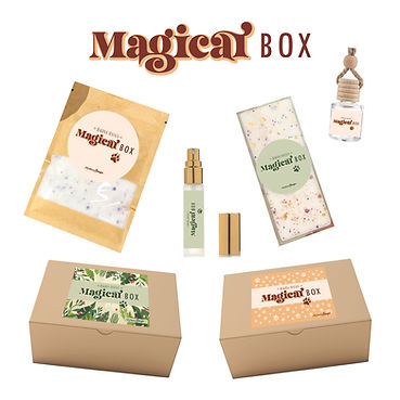 BOX12.jpg