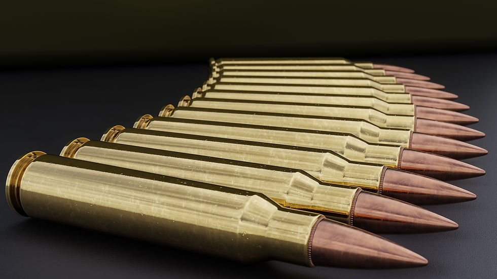 Gun amunition lined up