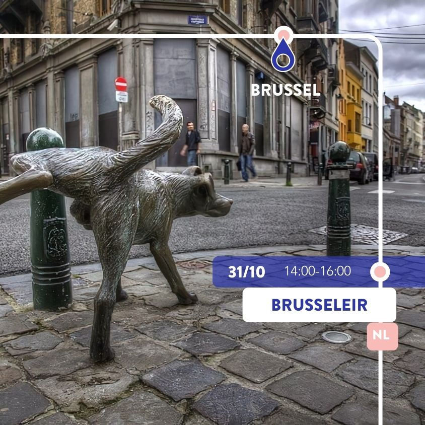 BRUSSELEIR | BRUSSEL