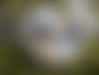 We are currently preparing for the release.