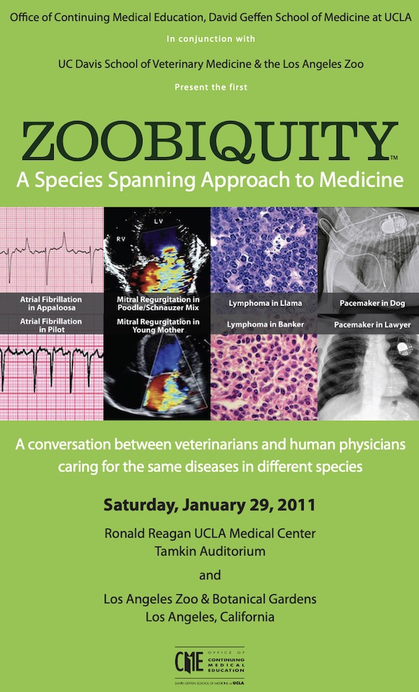 Conference program cover