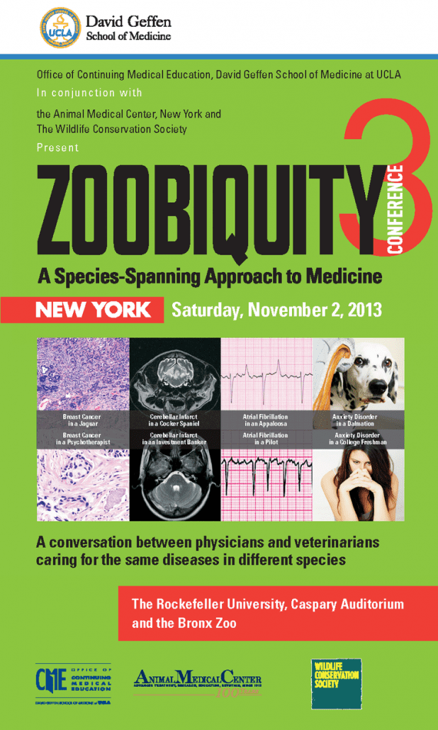 Conference program cover