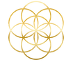 life_space%202_edited.png