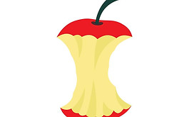 apple-core-icon-flat-style-vector.jpg