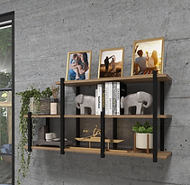 Captura de tela 2026-01-31 172024.png