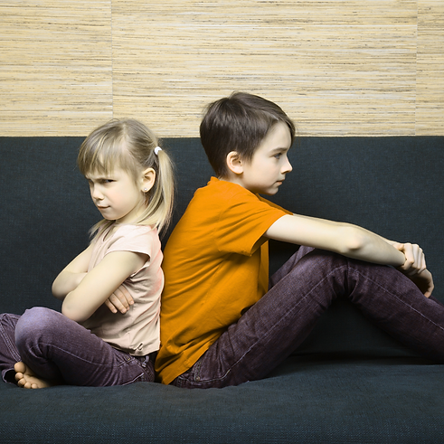 Siblings Main Image.png