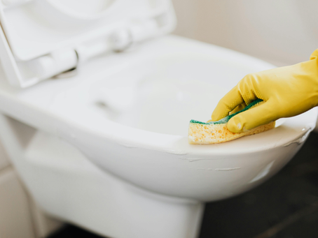 Compre água sanitária com a PROSUL-SC em Florianópolis