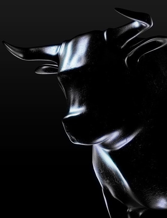 bull.jpeg