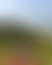 Unconventional Experiences of Travel