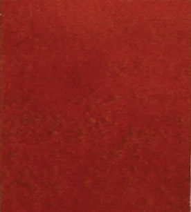 509 Nutmeg