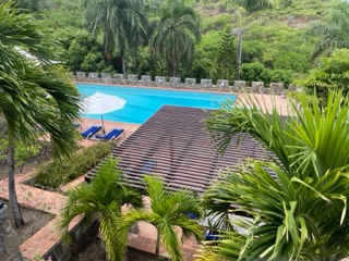St annes point antigua short term rental luxury pool.jpg