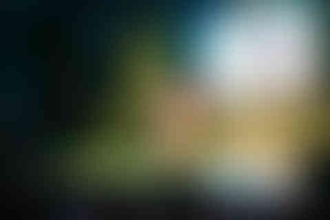 DSC07641