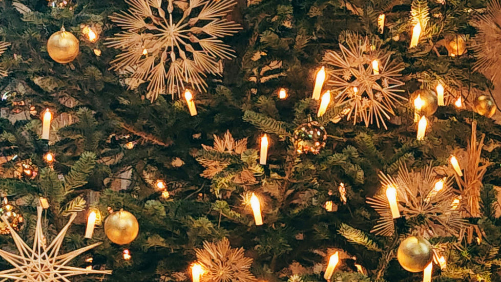 Joyeuses Fêtes de la part de toute l'équipe Solutus Santé ! 