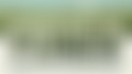 Affiche campagne Solutus Santé - Arrêtez de fumer libérez-vous naturellement - Sevrage tabagique Avignon | Solutus Santé Avignon | Sevrage Tabagique Naturel | Vaccin Anti Tabac Naturel Avignon - Orange