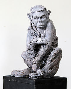 monkey.jpg