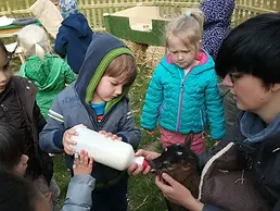 kinderboerderij.webp