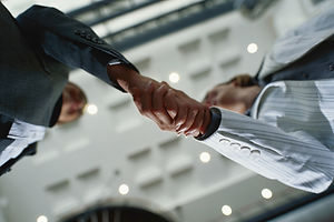 property development process, investors, banks, land owners