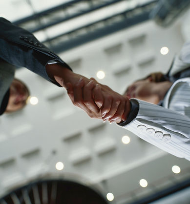 Business Handshake
