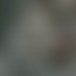 Bem de família pode ser penhorado para pagar dívidas contraídas em sua reforma.