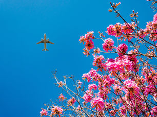 Squawk 9A610 - 4 April 2025