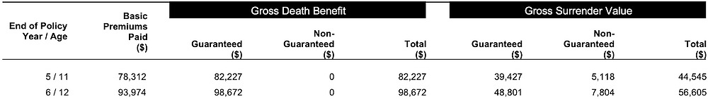 Figure 6: Policy illustration snippet