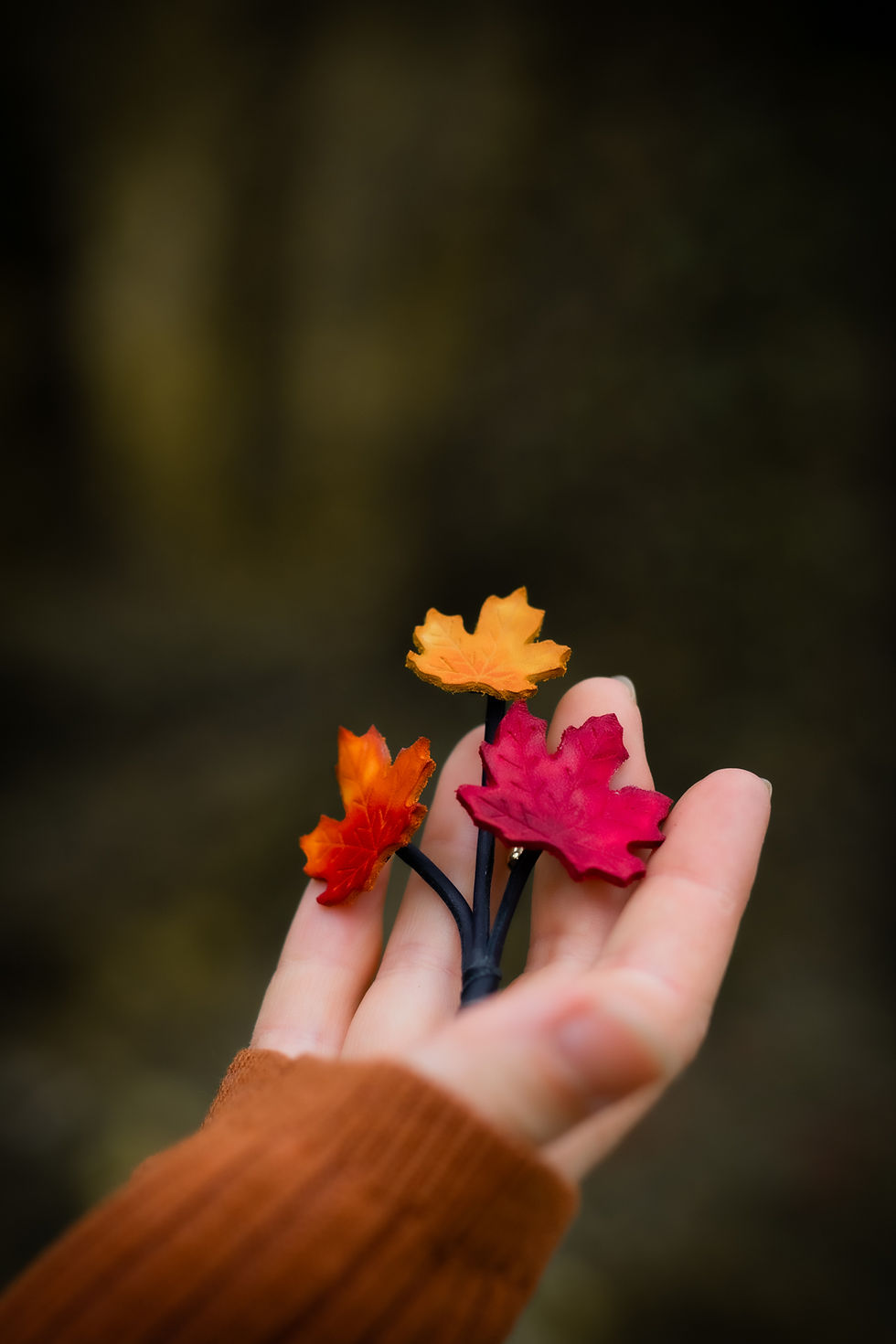 Miniature : Broche d'automne  * Les Feuilles d'Erable *