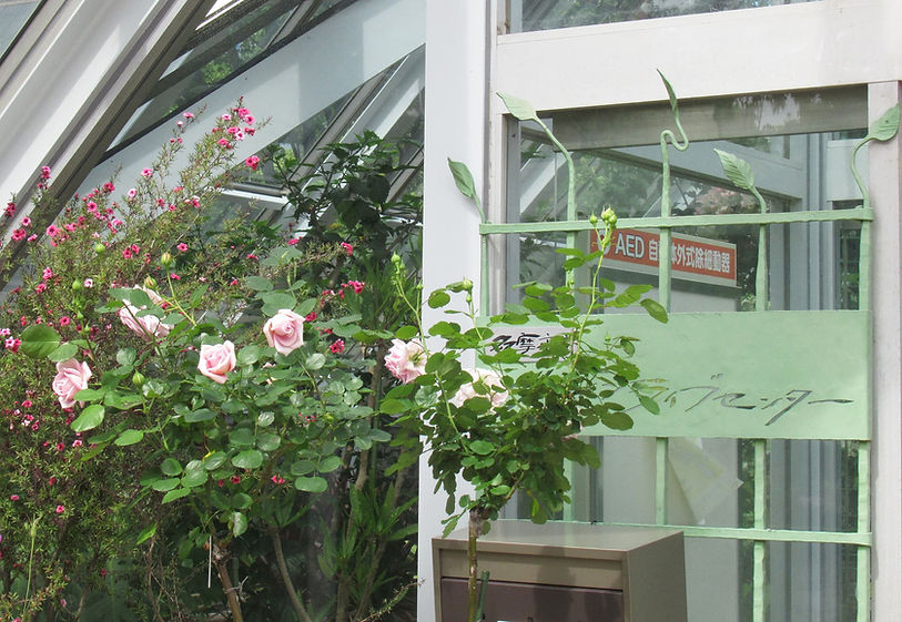 glc-entrance.jpg