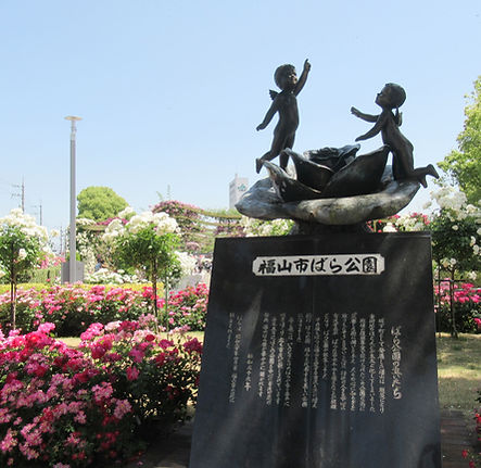 260518rosepark.jpg