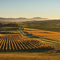 Churton copy.jpg
