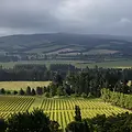 Mountford Estate.webp