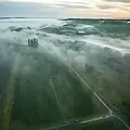 Kokako Farms.webp