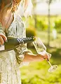 Seifried.Winery and their offerings
