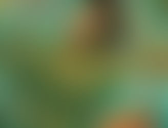 Photo du dernier album de Taylor Swift